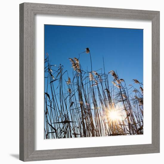 Baltic Sea-Catharina Lux-Framed Photographic Print