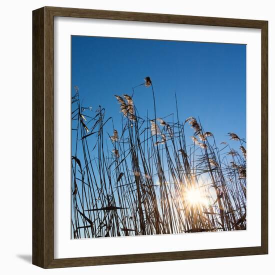 Baltic Sea-Catharina Lux-Framed Photographic Print