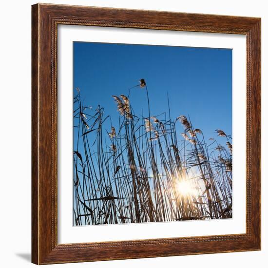 Baltic Sea-Catharina Lux-Framed Photographic Print