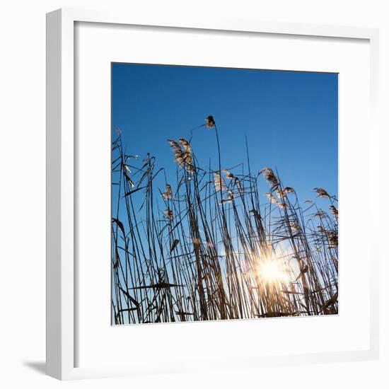 Baltic Sea-Catharina Lux-Framed Photographic Print