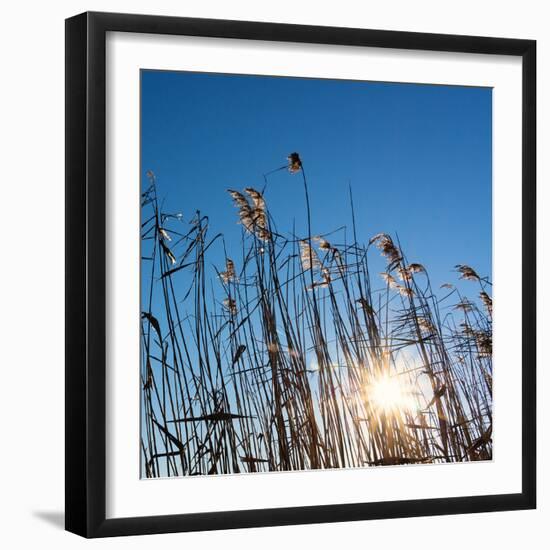 Baltic Sea-Catharina Lux-Framed Photographic Print