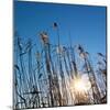 Baltic Sea-Catharina Lux-Mounted Photographic Print