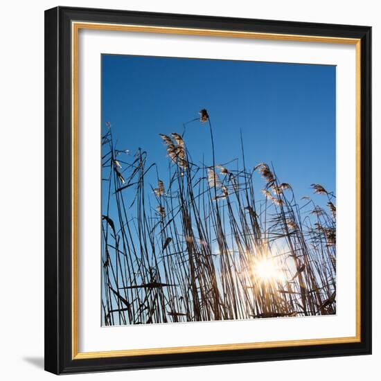 Baltic Sea-Catharina Lux-Framed Photographic Print