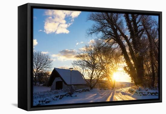 Baltic, Snowy Landscape, Ahrenshoop, Cemetery-Catharina Lux-Framed Premier Image Canvas