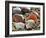 Baltic Tellin Shells on Beach, Belgium-Philippe Clement-Framed Photographic Print