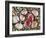 Baltic Tellin Shells on Beach, One Upside Down Showing the Inside, Belgium-Philippe Clement-Framed Photographic Print