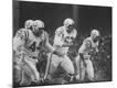 Premium Photographic Print
