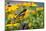 Baltimore Oriole on Post with Black-Eyed Susans, Marion, Illinois, Usa-Richard ans Susan Day-Mounted Photographic Print