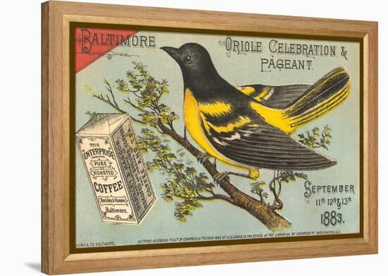 Baltimore Oriole Pageant-null-Framed Stretched Canvas