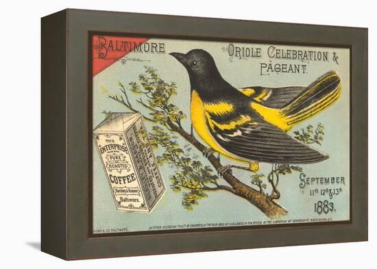 Baltimore Oriole Pageant-null-Framed Stretched Canvas