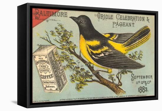 Baltimore Oriole Pageant-null-Framed Stretched Canvas