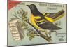 Baltimore Oriole Pageant-null-Mounted Art Print