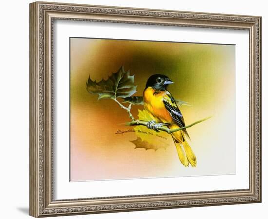 Baltimore Oriole-Spencer Williams-Framed Giclee Print