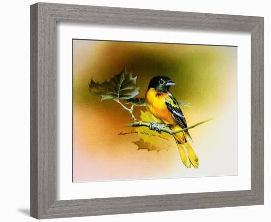 Baltimore Oriole-Spencer Williams-Framed Giclee Print