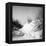 Baltrum Beach, no. 10-Katrin Adam-Framed Premier Image Canvas