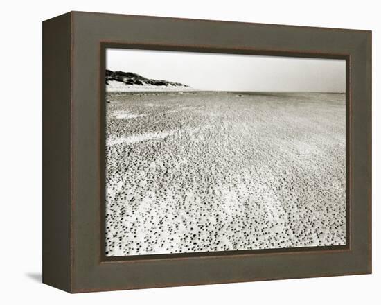 Baltrum Beach, no. 6-Katrin Adam-Framed Premier Image Canvas