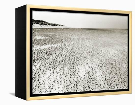 Baltrum Beach, no. 6-Katrin Adam-Framed Premier Image Canvas