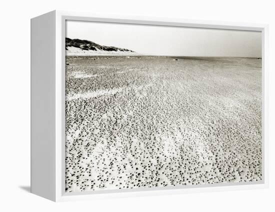 Baltrum Beach, no. 6-Katrin Adam-Framed Premier Image Canvas