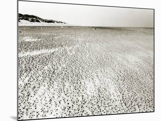 Baltrum Beach, no. 6-Katrin Adam-Mounted Photographic Print
