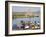 Bamako, Dyeing and Rinsing Cotton Cloth on the Bank of the Niger River Near Bamako, Mali-Nigel Pavitt-Framed Photographic Print