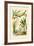 Bamboo, 1833-39-null-Framed Giclee Print