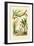 Bamboo, 1833-39-null-Framed Giclee Print