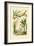 Bamboo, 1833-39-null-Framed Giclee Print