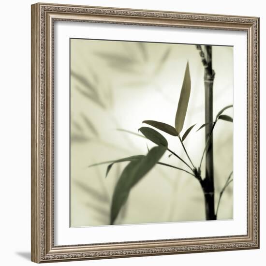 Bamboo #1-Alan Blaustein-Framed Photographic Print