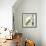 Bamboo #1-Alan Blaustein-Framed Photographic Print displayed on a wall