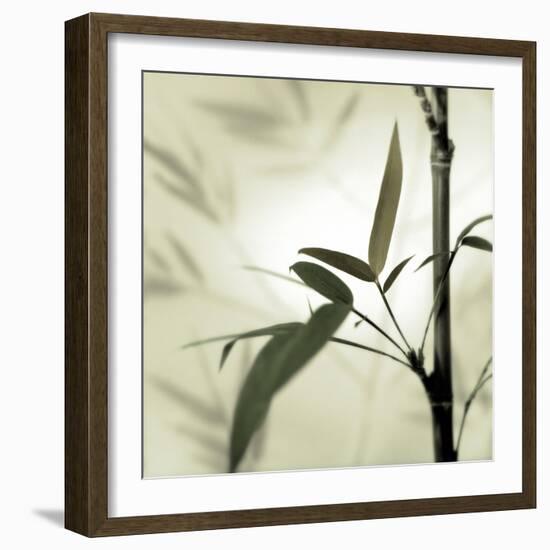 Bamboo #1-Alan Blaustein-Framed Photographic Print