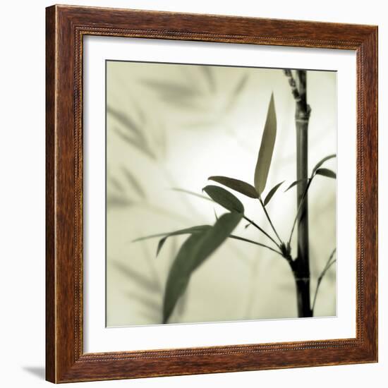 Bamboo #1-Alan Blaustein-Framed Photographic Print