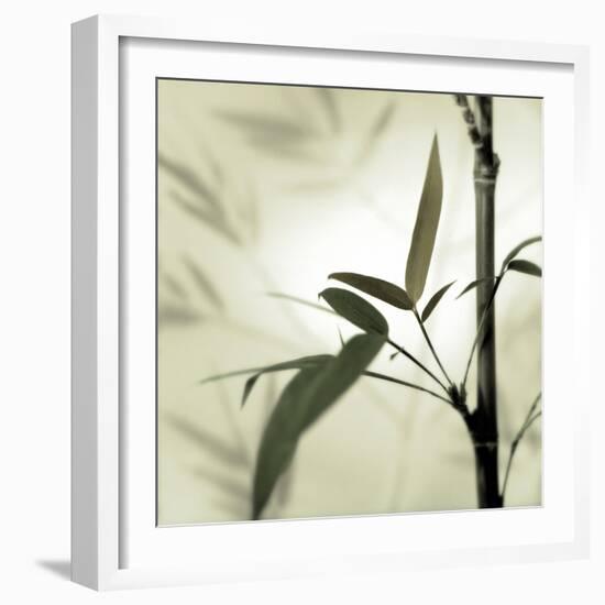 Bamboo #1-Alan Blaustein-Framed Photographic Print