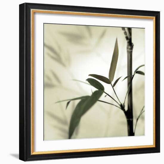 Bamboo #1-Alan Blaustein-Framed Photographic Print