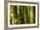 Bamboo Afternoon I-Rita Crane-Framed Photographic Print