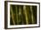 Bamboo Afternoon VI-Rita Crane-Framed Photographic Print