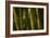 Bamboo Afternoon VI-Rita Crane-Framed Photographic Print