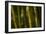 Bamboo Afternoon VI-Rita Crane-Framed Photographic Print