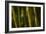Bamboo Afternoon VI-Rita Crane-Framed Photographic Print