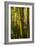 Bamboo Afternoon VII-Rita Crane-Framed Photographic Print