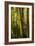 Bamboo Afternoon VII-Rita Crane-Framed Photographic Print