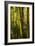 Bamboo Afternoon VII-Rita Crane-Framed Photographic Print