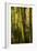 Bamboo Afternoon VII-Rita Crane-Framed Photographic Print