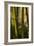 Bamboo Afternoon VIII-Rita Crane-Framed Photographic Print