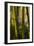 Bamboo Afternoon VIII-Rita Crane-Framed Photographic Print