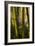 Bamboo Afternoon VIII-Rita Crane-Framed Photographic Print