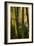Bamboo Afternoon VIII-Rita Crane-Framed Photographic Print