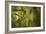 Bamboo Afternoon XI-Rita Crane-Framed Photographic Print