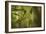 Bamboo Afternoon XI-Rita Crane-Framed Photographic Print