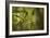 Bamboo Afternoon XI-Rita Crane-Framed Photographic Print