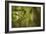 Bamboo Afternoon XI-Rita Crane-Framed Photographic Print